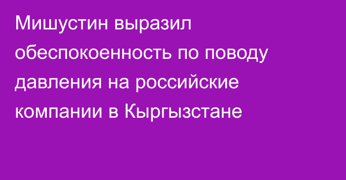 Мишустин выразил обеспокоенность по поводу давления на российские компании в Кыргызстане
